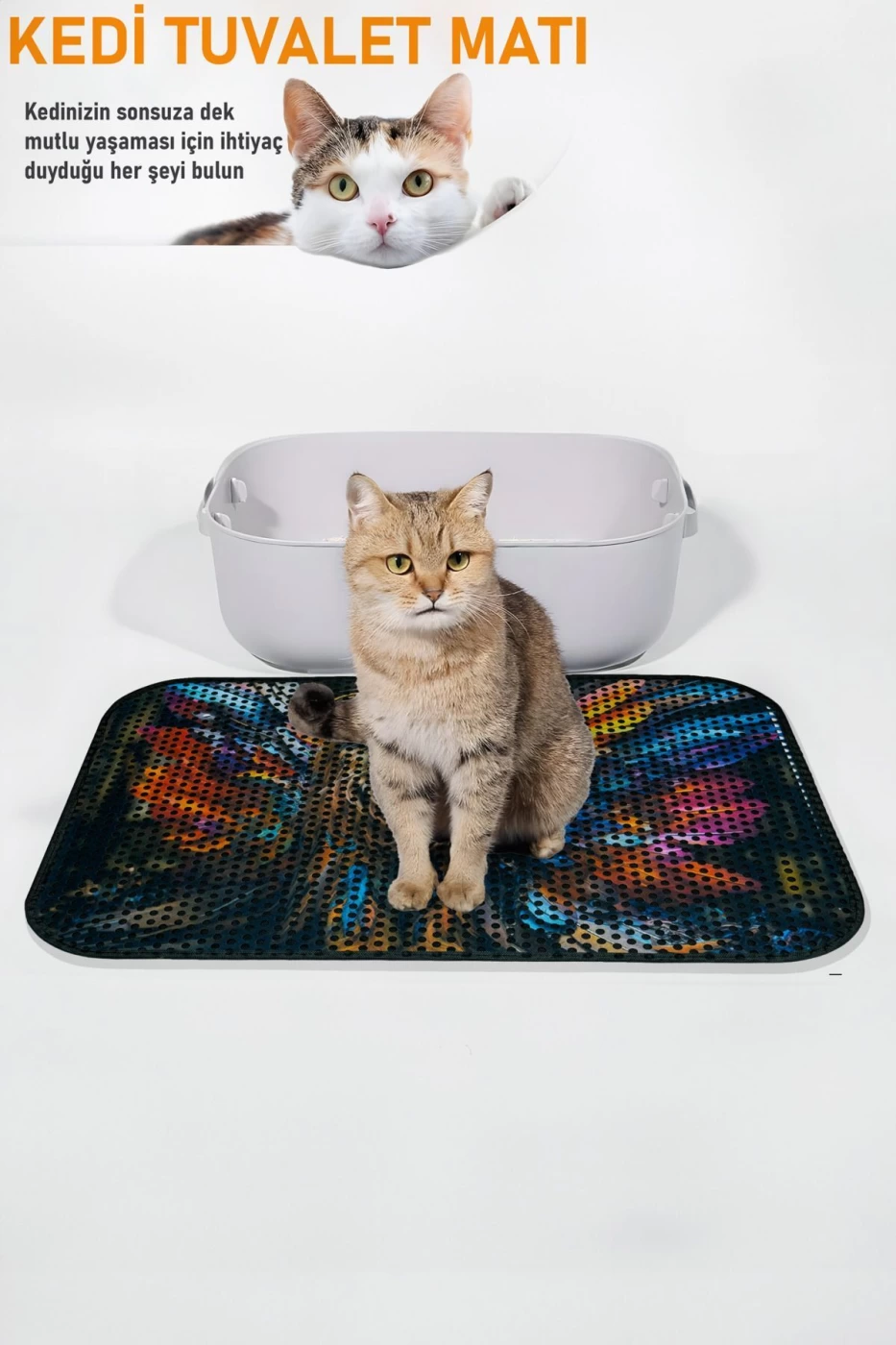 Kedi Kum Paspası – Kedi Yuvası Paspası